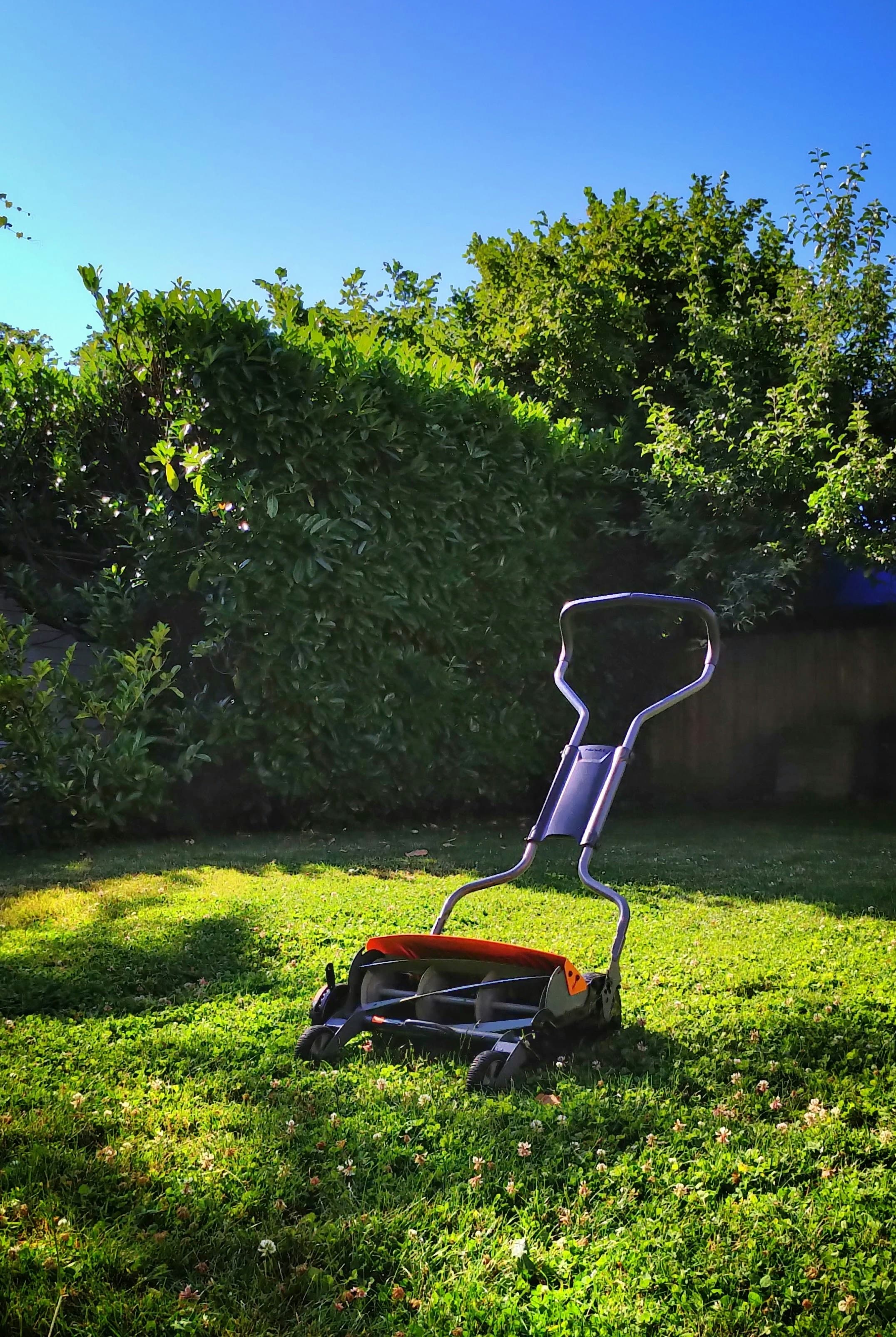 Lawn aeration service for compacted soil Georgetown TX — Georgetown Lawn Pros