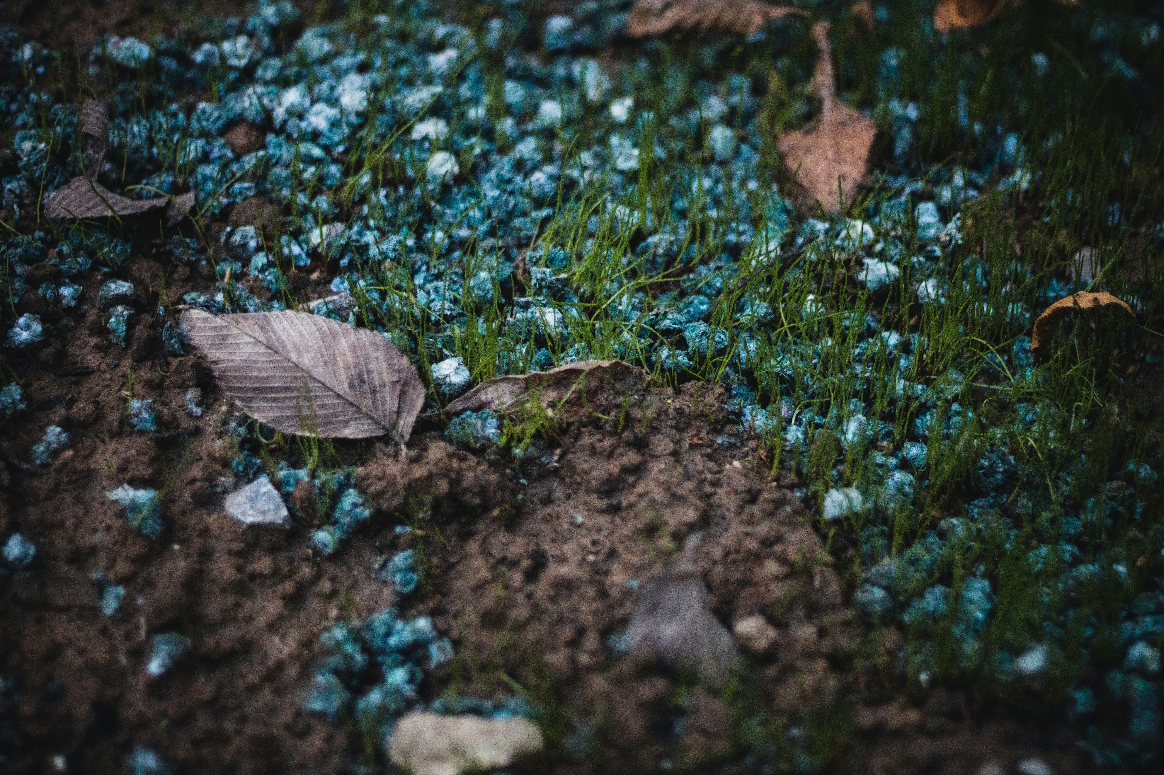 Lawn fertilization treatment Georgetown TX — Georgetown Lawn Pros