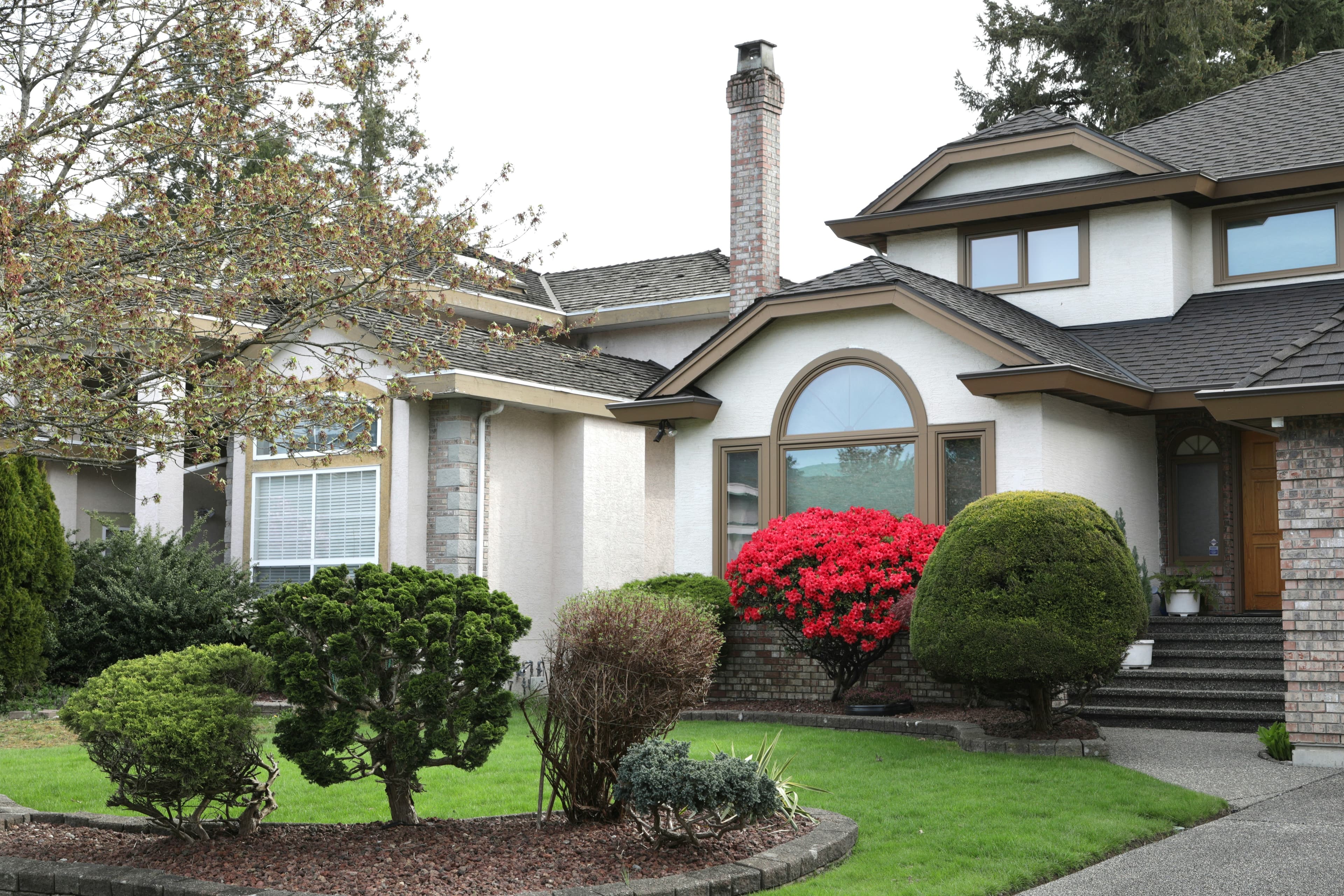 Shrub and bush trimming service Georgetown TX — Georgetown Lawn Pros