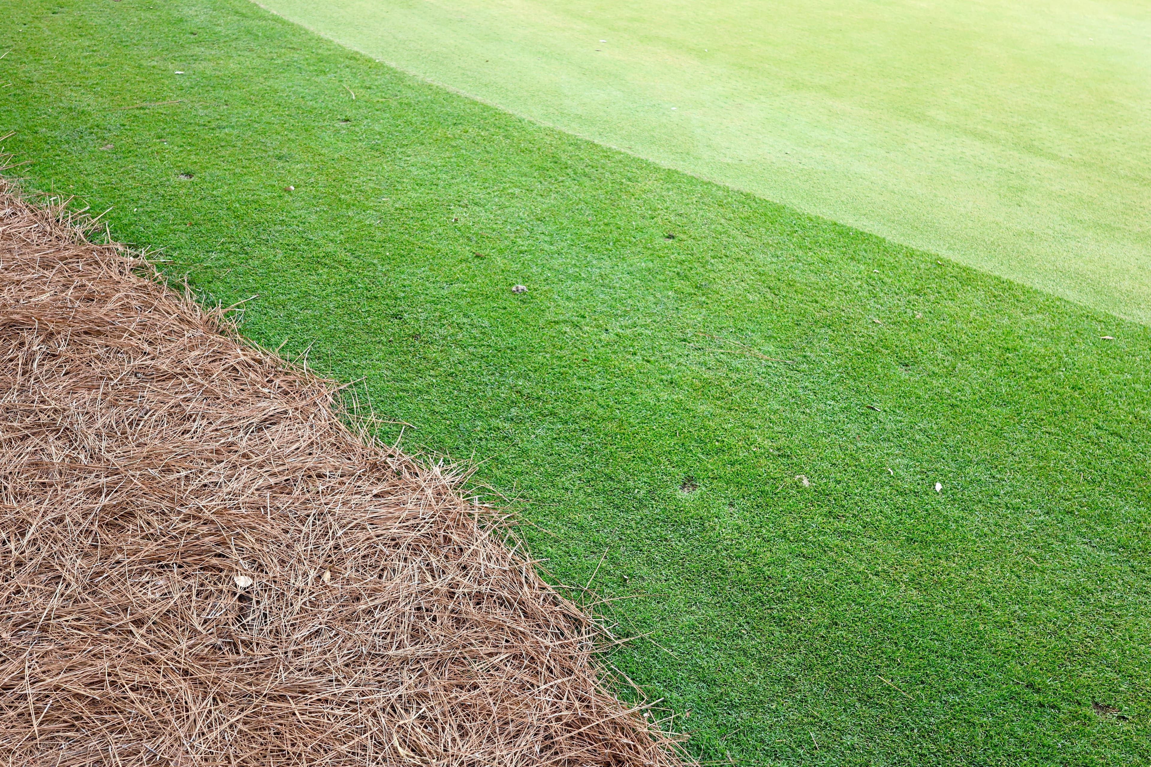 Sod installation on residential property Georgetown TX — Georgetown Lawn Pros