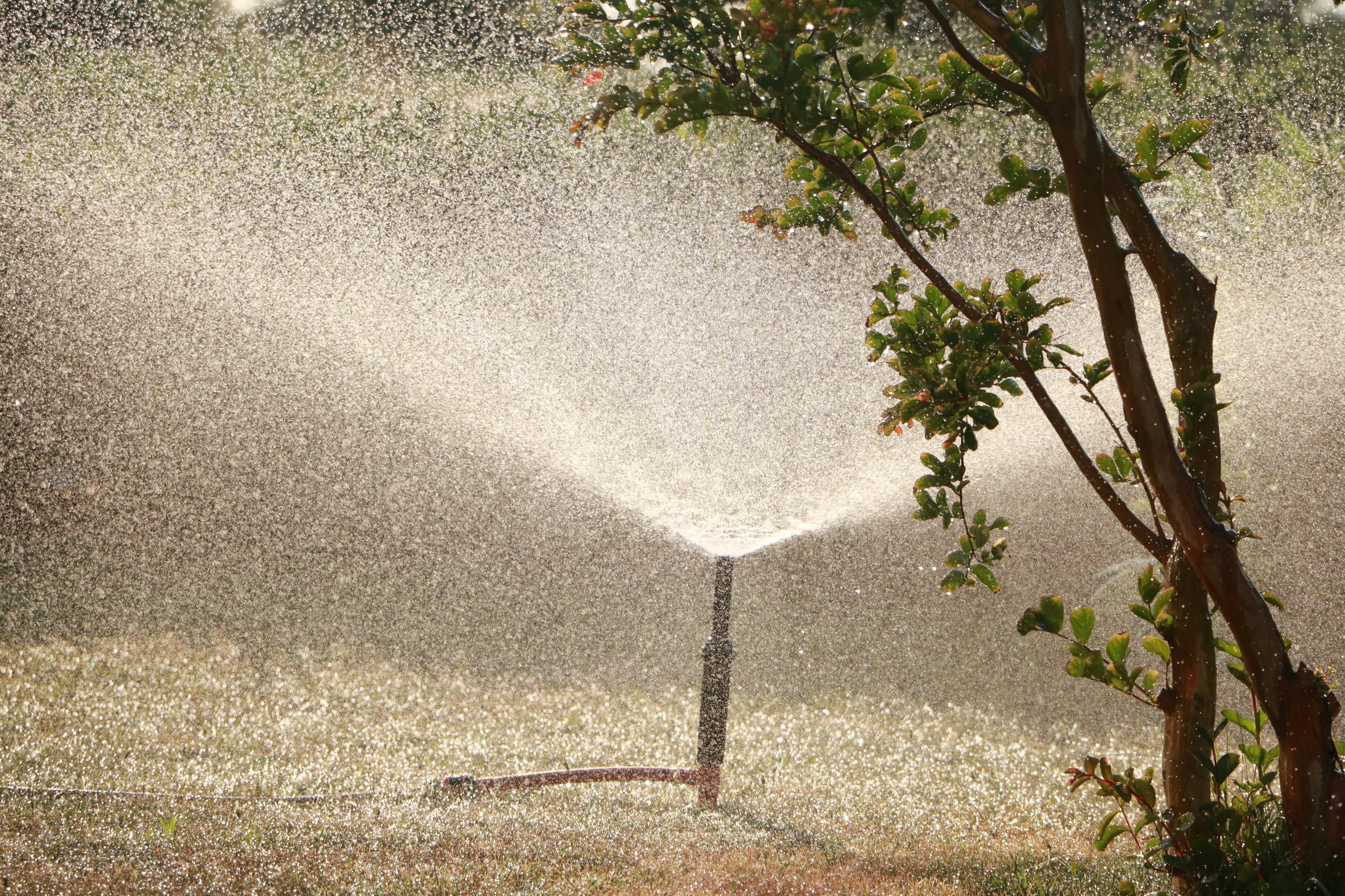 Sprinkler and irrigation repair Georgetown TX — Georgetown Lawn Pros