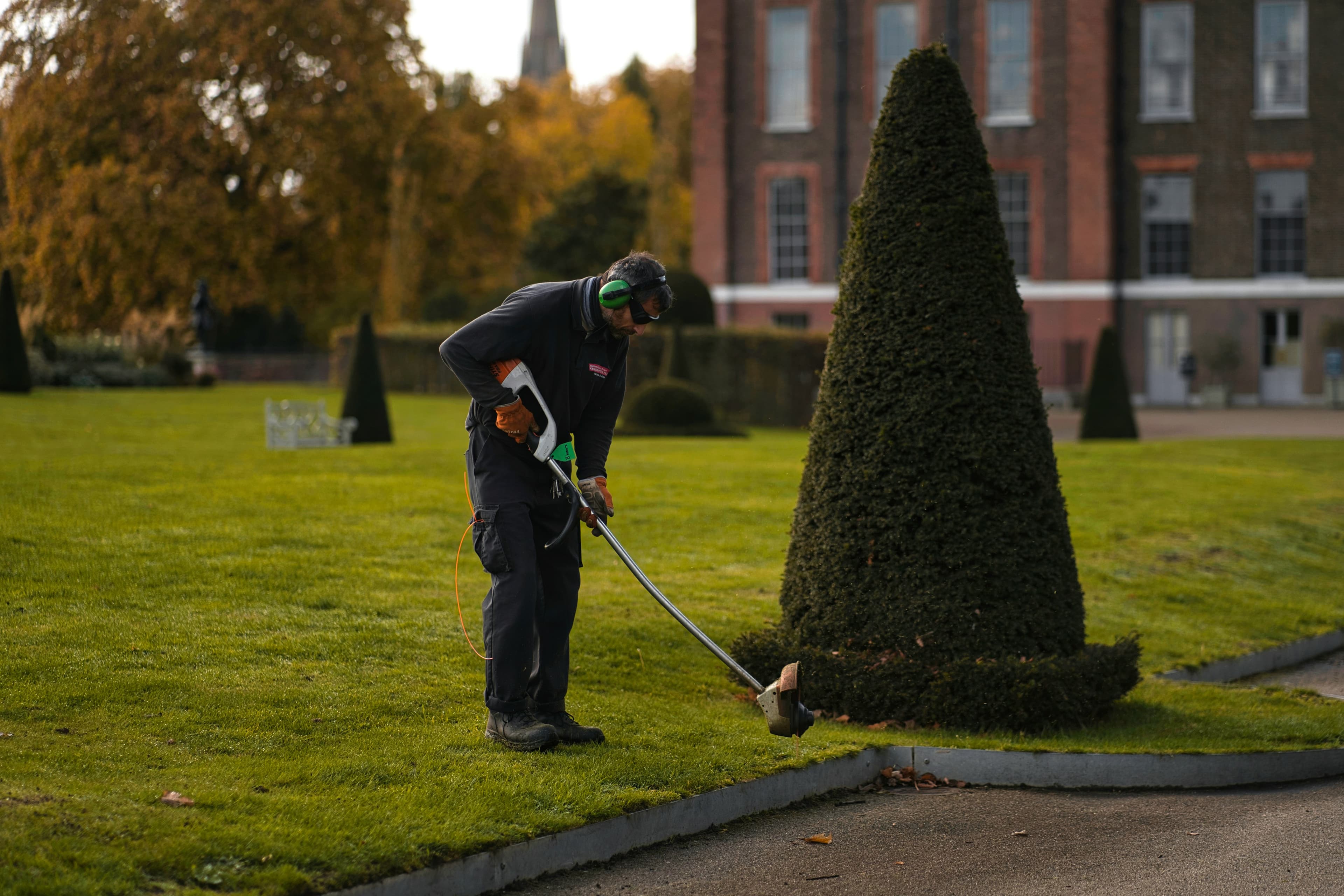 Weed control treatment on residential lawn Georgetown TX — Georgetown Lawn Pros
